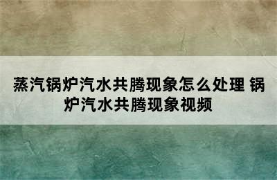 蒸汽锅炉汽水共腾现象怎么处理 锅炉汽水共腾现象视频